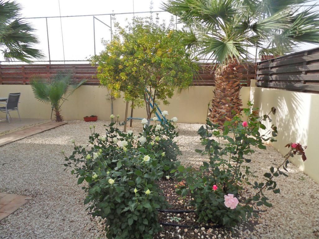 Villa Favor - 3 Bed With Pool Close To Nissi Beach Ayia Napa Bagian luar foto